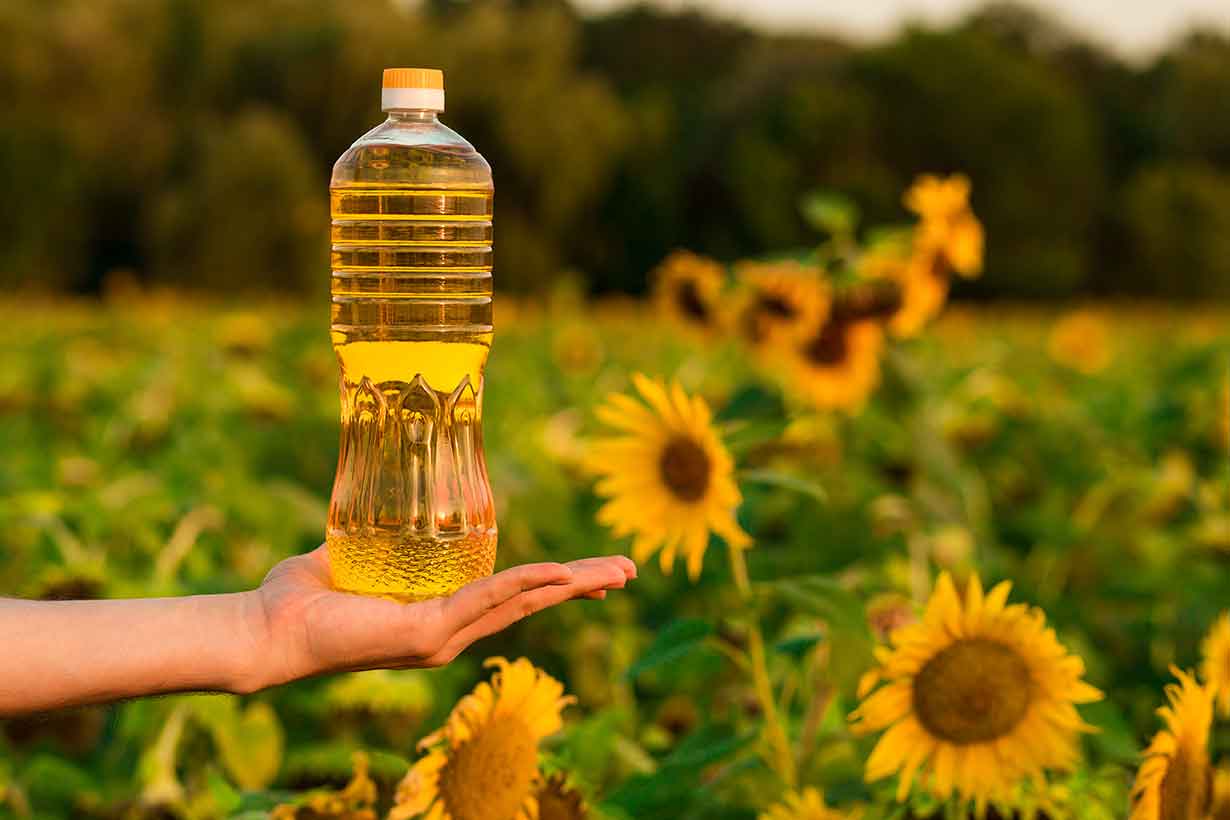 hand-holding-bottle-of-sunflower-oil-with-sunflower-field-in-background hand-holding-bottle-of-sunflower-oil-with-sunflower-field-in-background